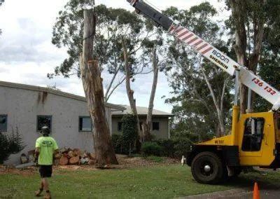 tree services toowoomba|ARBORLIFE – Caring for Trees.